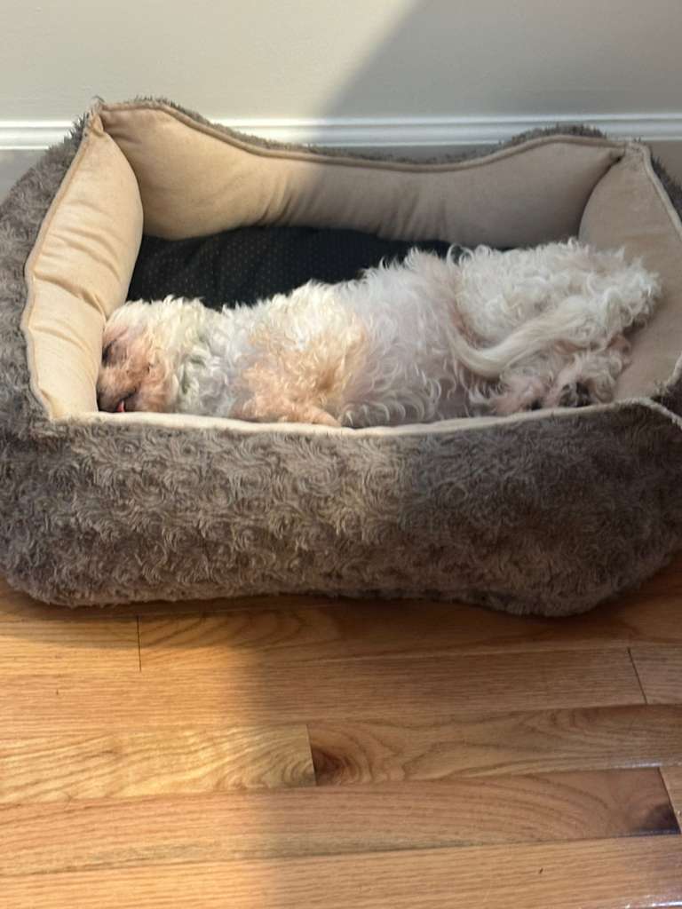 Frida sleeping, configuration 1