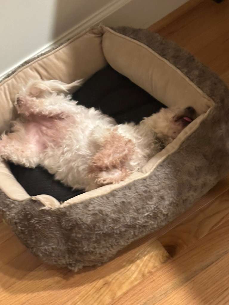 Frida sleeping, configuration 2
